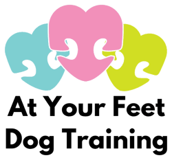 At Your Feet Dog Training